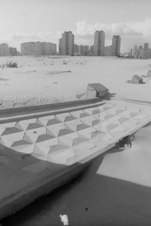 Daoist Looking Back poster