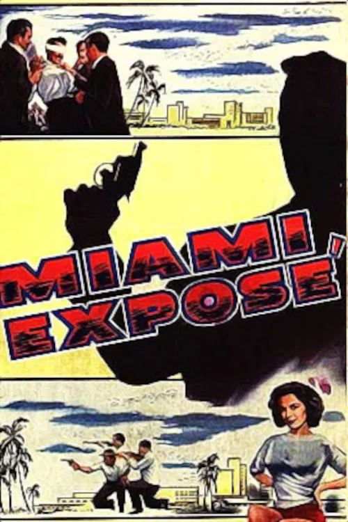 Miami Exposé poster
