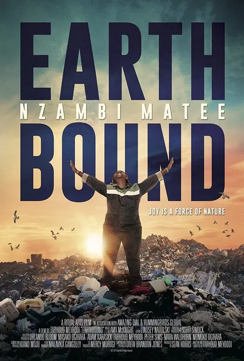 Earthbound: Nzambi Matee poster