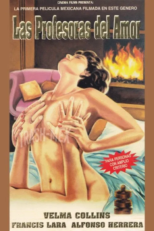 Las profesoras del amor poster