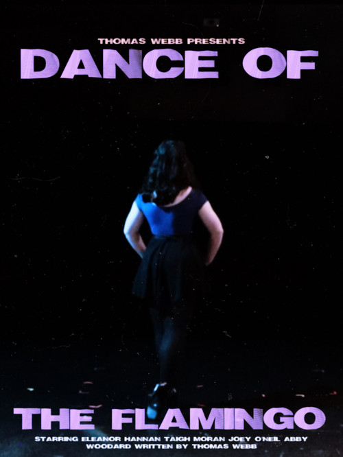 Dance of the Flamingo poster