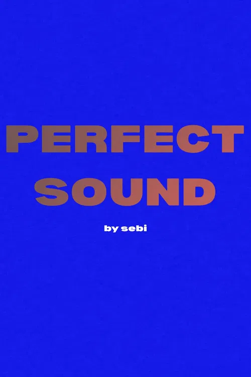 Perfect Sound poster