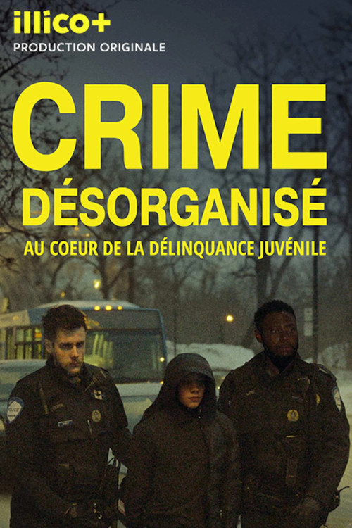 Crime désorganisé: au cœur de la délinquance juvénile poster
