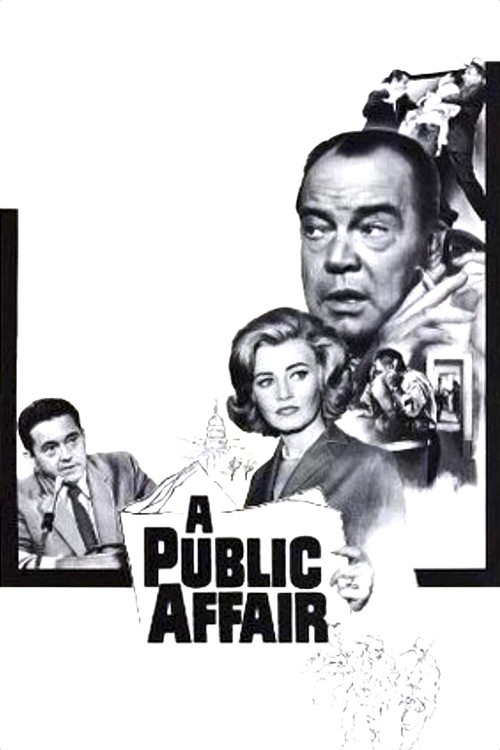 A Public Affair poster