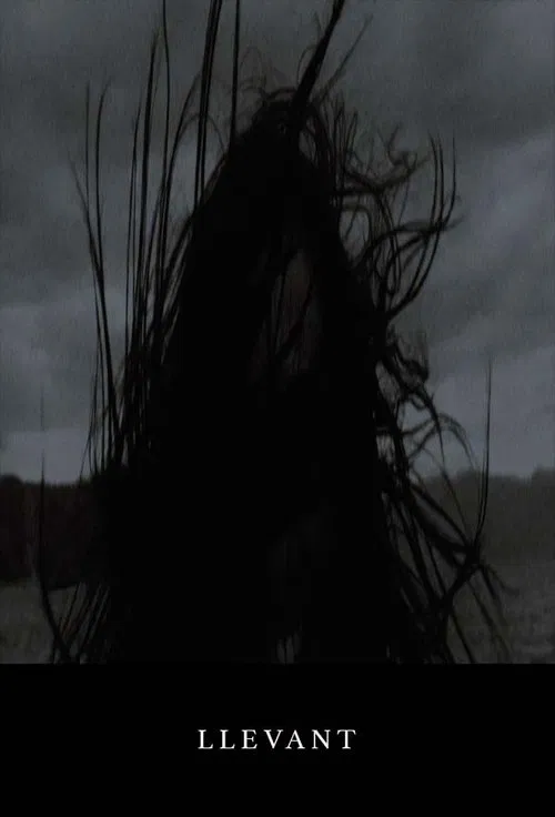Llevant poster