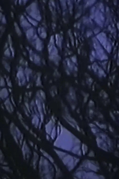 On the afternoon in LANGEL HANS Island poster