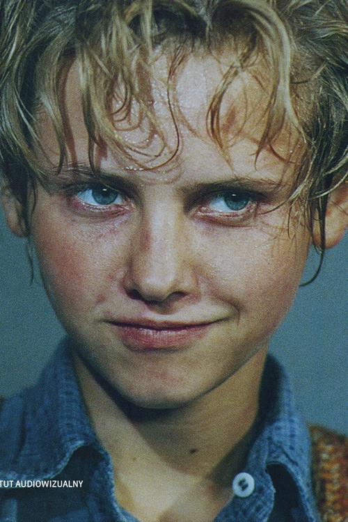 Anna Wielgucka profile