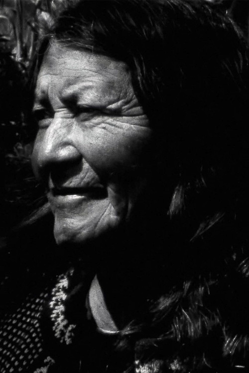 Manu: A Visual Album poster