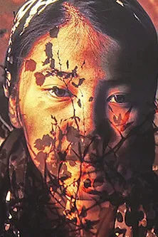 Bibi Seshanbe poster