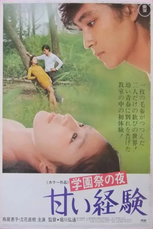 School Festival Night: A Sweet Experience poster