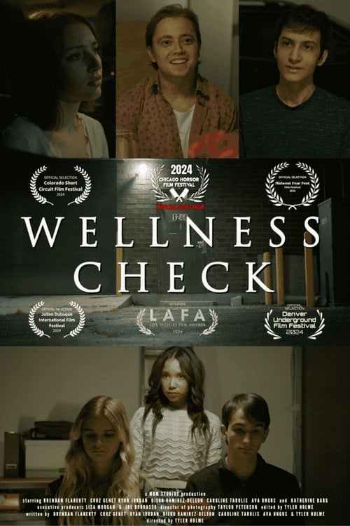 Wellness Check poster