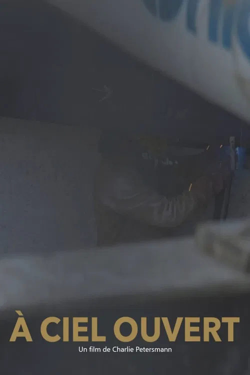 À ciel ouvert poster
