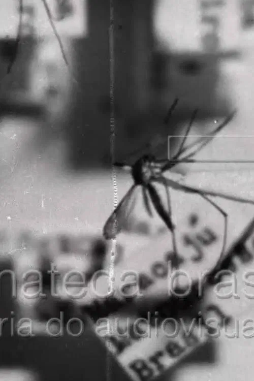 Febre Amarela II poster