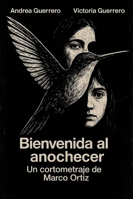Bienvenida al Anochecer poster