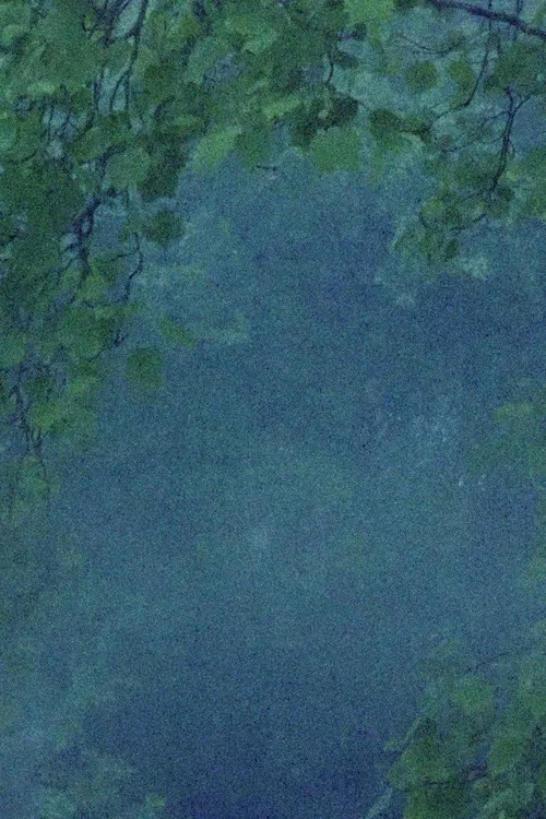 The Names of Things poster