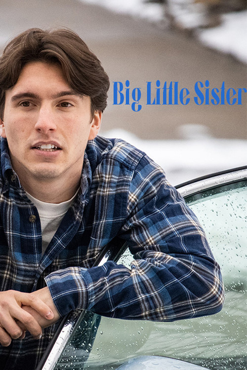 Big Little Sister poster