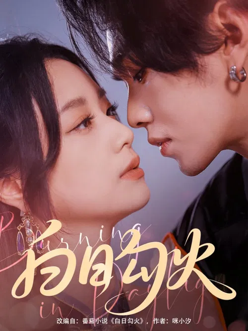 Burning in Daylight poster