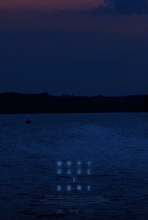 What Have I Done poster