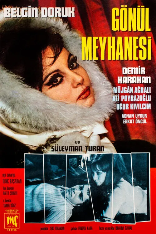 Gönül Meyhanesi poster