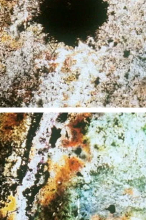 Baby Dream II poster