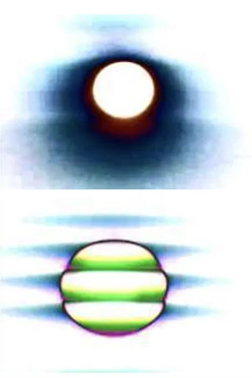 Affection Exonerate poster