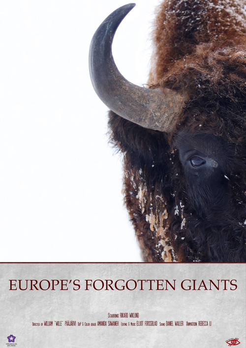Europe's Forgotten Giants poster