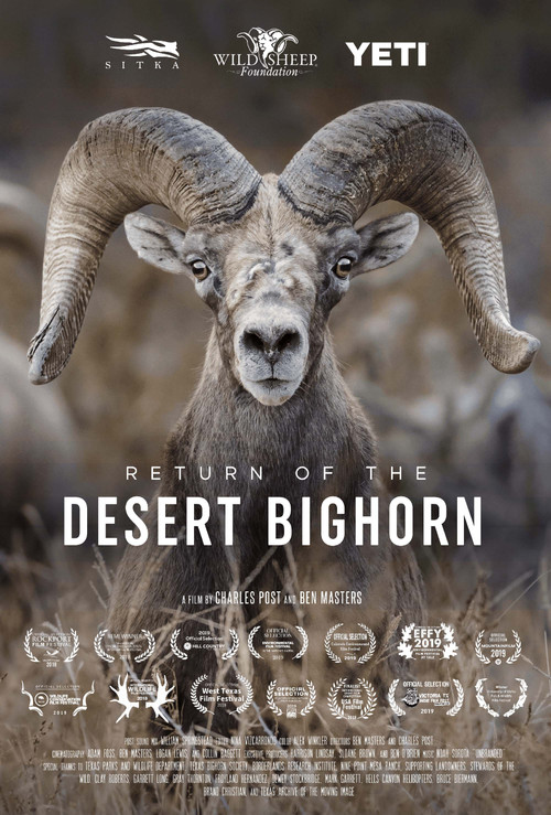 Return of the Desert Bighorn poster