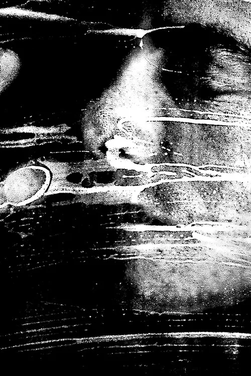 Losing the Light poster