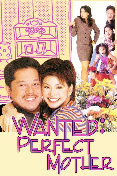 Wanted: Perfect Mother poster