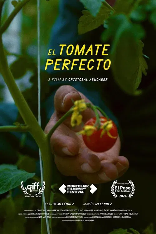 The Perfect Tomato poster