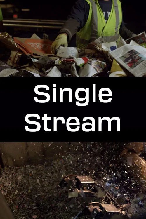 Single Stream poster