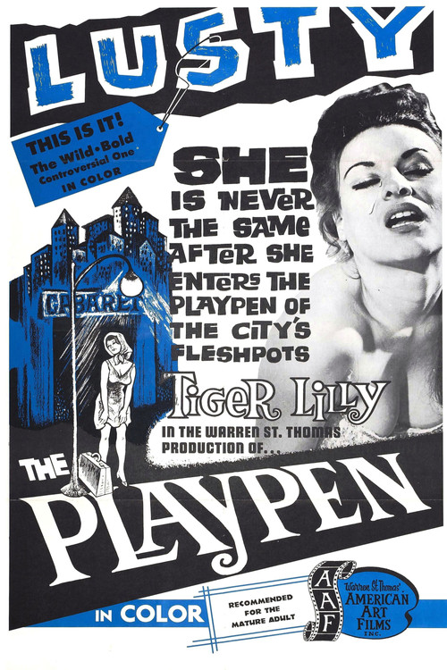 The Playpen poster