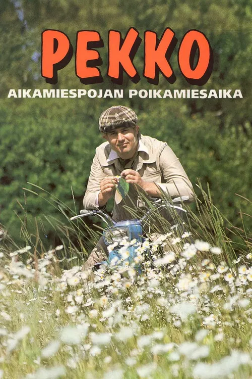 Pekko aikamiespojan poikamiesaika poster