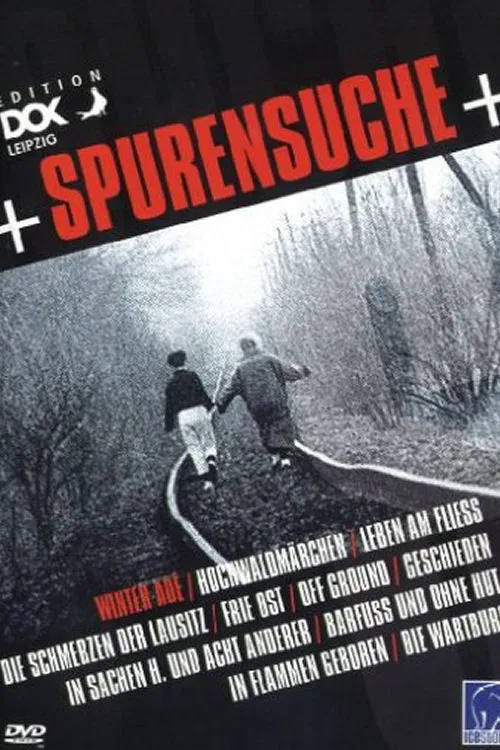 Hochwaldmärchen poster