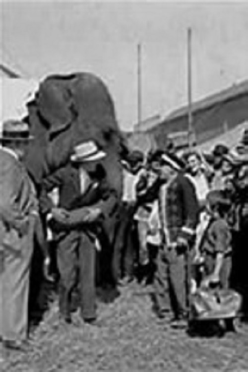 The Great Love poster