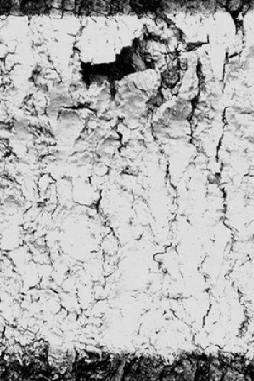 . . . . Yellow Dawn poster