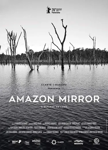 Amazon Mirror poster