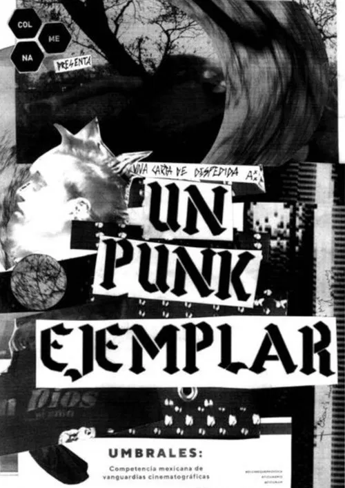An Exemplary Punk poster