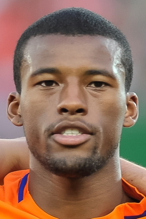 Georginio Wijnaldum profile
