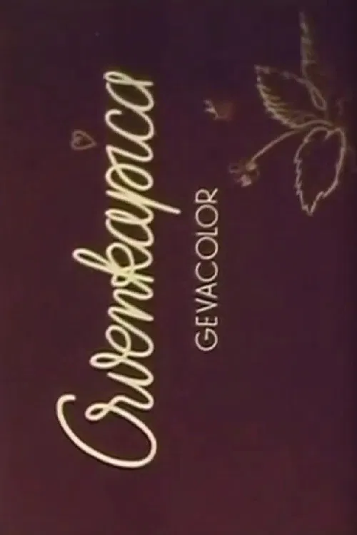 Little Red Riding Hood poster