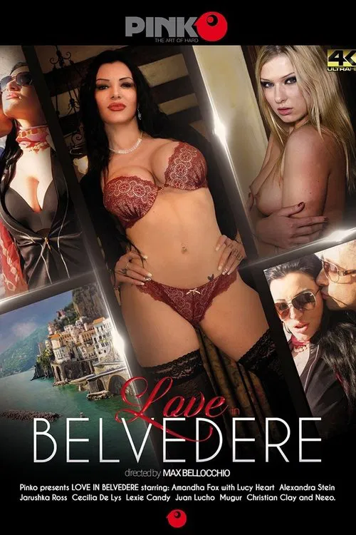 Love in Belvedere poster