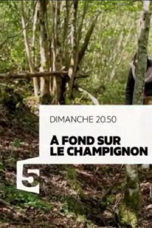 A fond sur le champignon poster