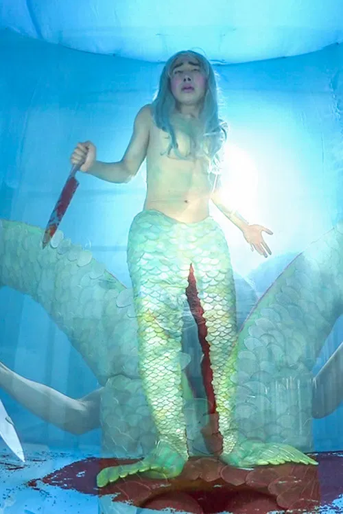 Cambrian Explosion poster