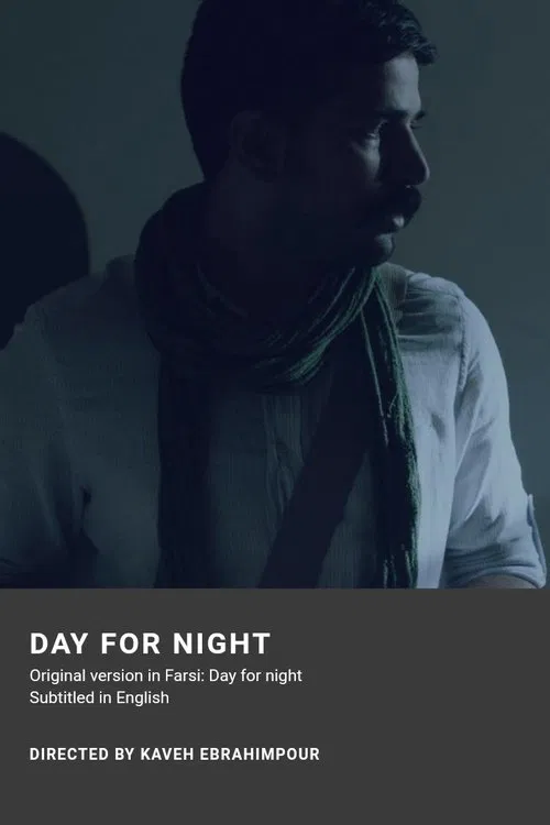 Day for night poster