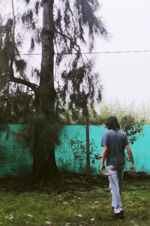 Un Gato Desapareció poster