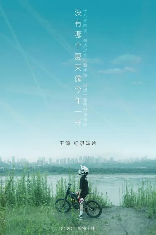 没有哪个夏天像今年一样 poster