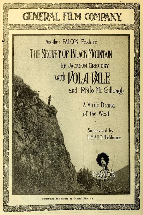 The Secret of Black Mountain poster