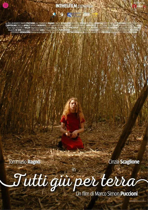 Tutti giù per terra poster