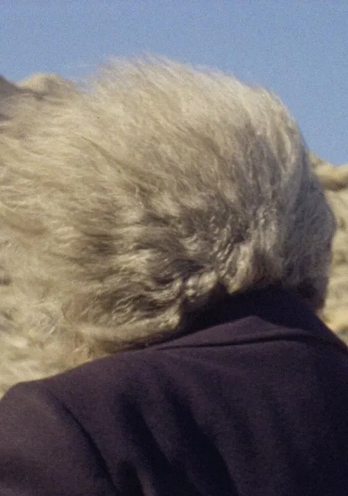 La Tramuntana poster