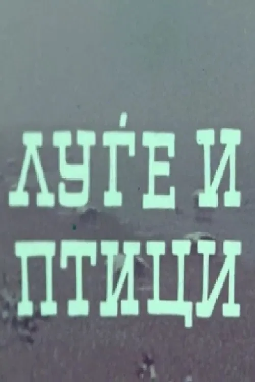 People and Birds poster